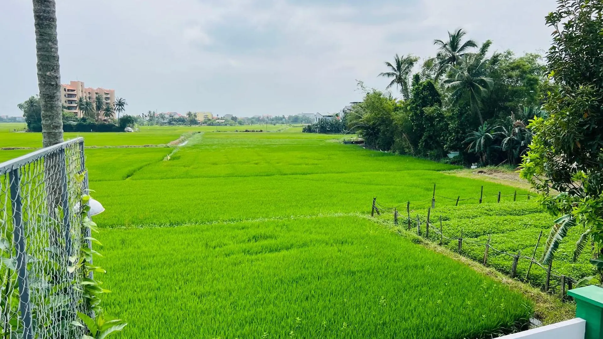 Villa Greenfield Village Home Hoi An Vietnam